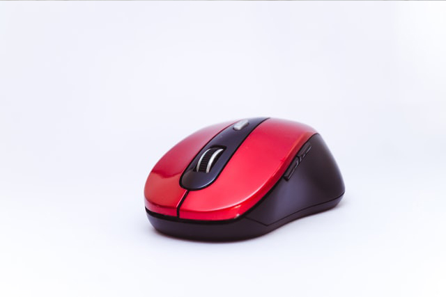 Mouse